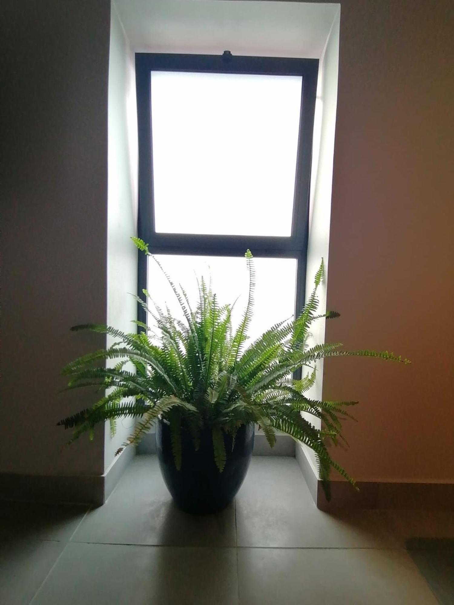 マシコ Casa Do Favinhaヴィラ エクステリア 写真